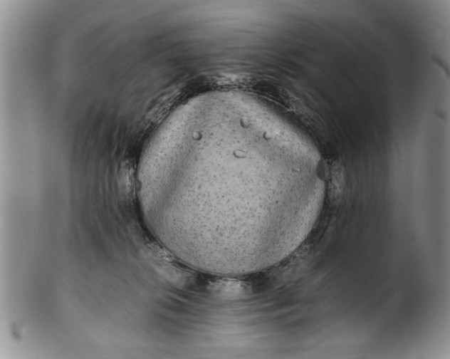 X0000102250276200808081417