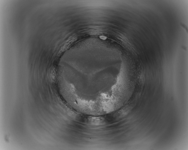 X0000102250277200808081417