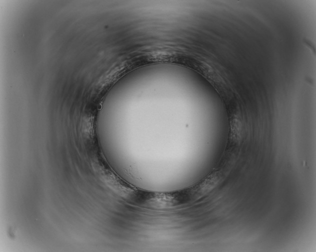 X0000102250278200808081417