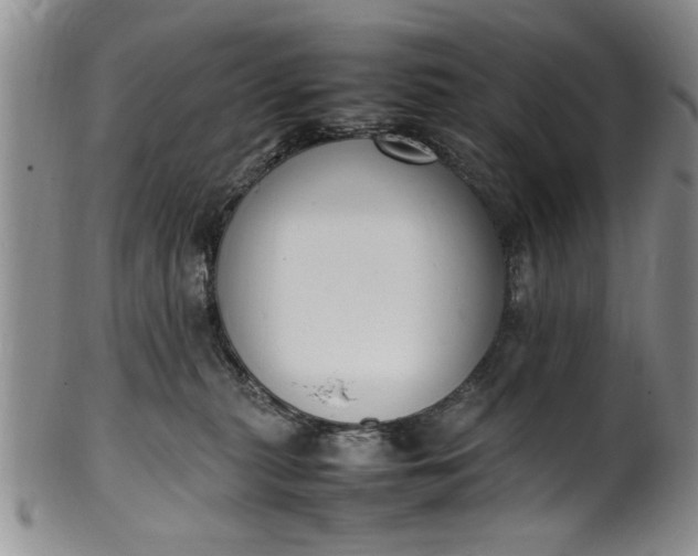 X0000102250279200808081417