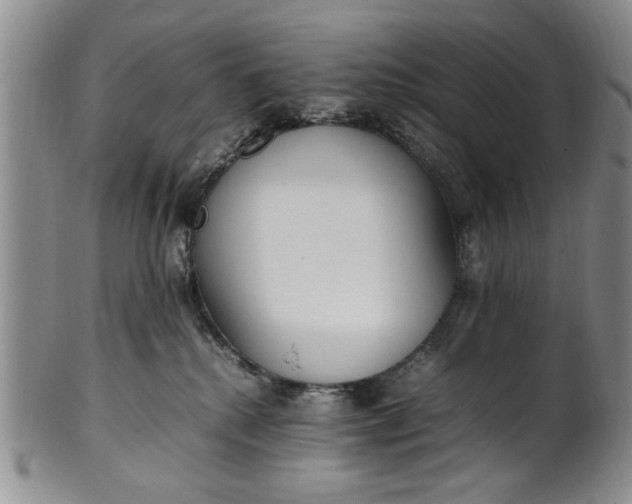 X0000102250280200808081417