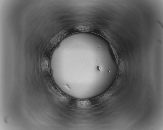 X0000102250281200808081417