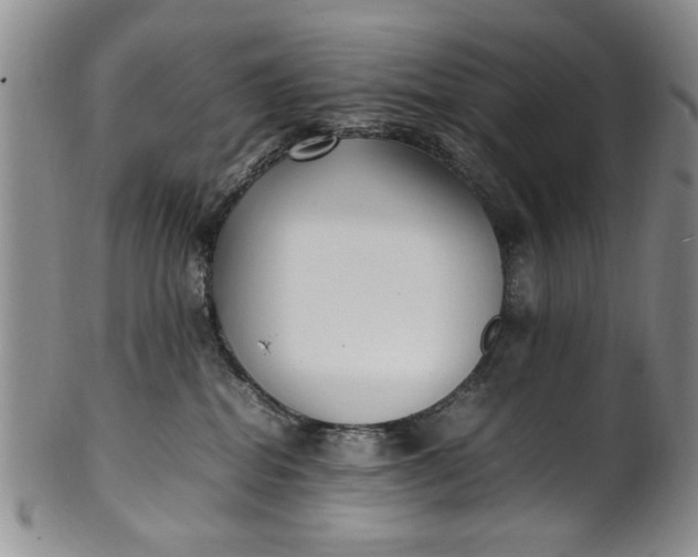 X0000102250282200808081417