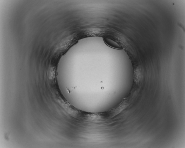 X0000102250284200808081417