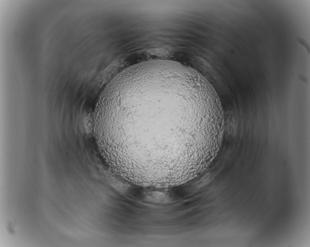 X0000102250285200808081417