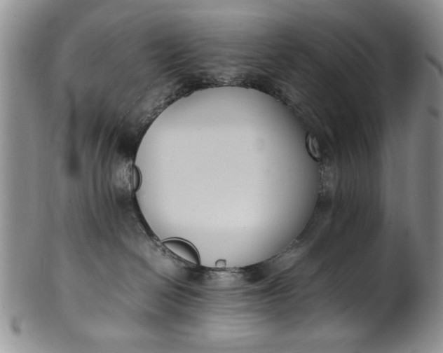 X0000102250286200808081417