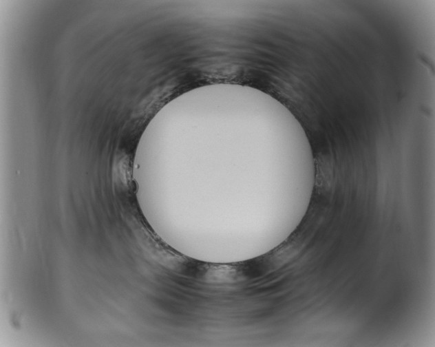 X0000102250287200808081417