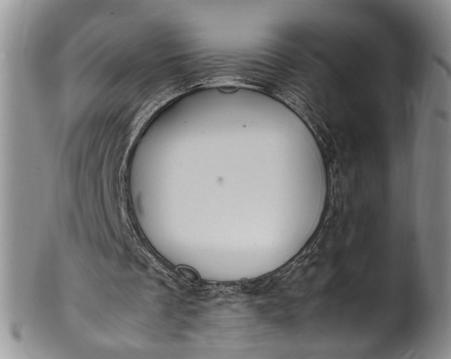 X0000102250289200808081417