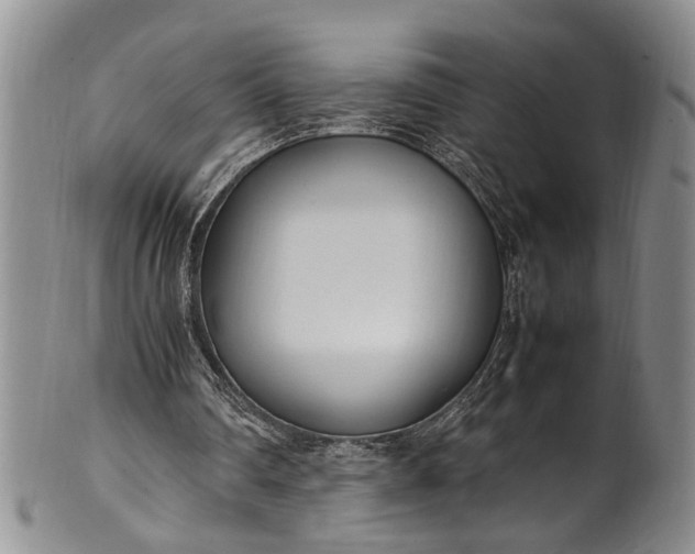 X0000102250290200808081417