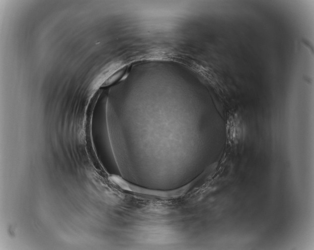 X0000102250292200808081417