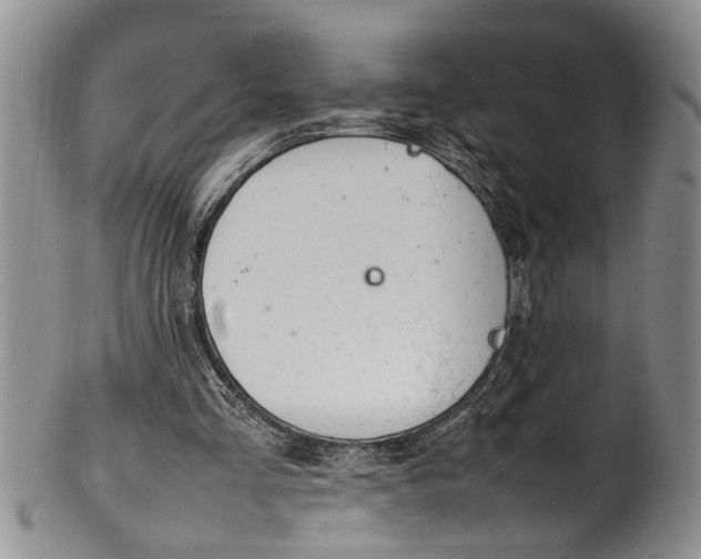 X0000102250293200808081417