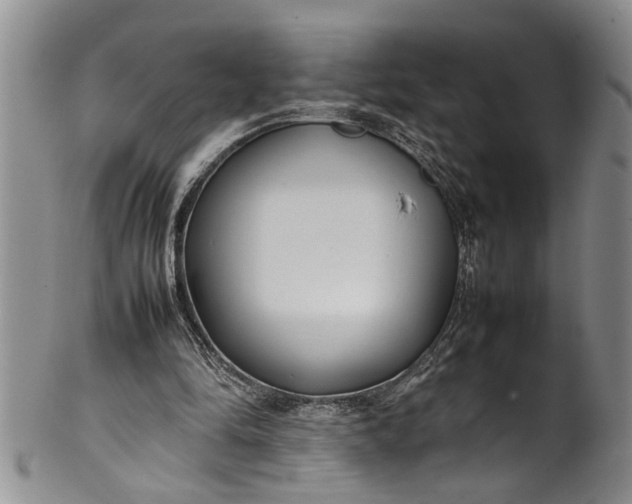 X0000102250294200808081417