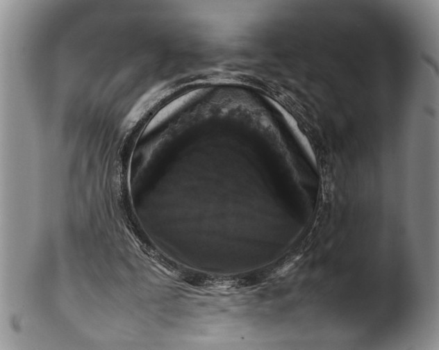 X0000102250295200808081417