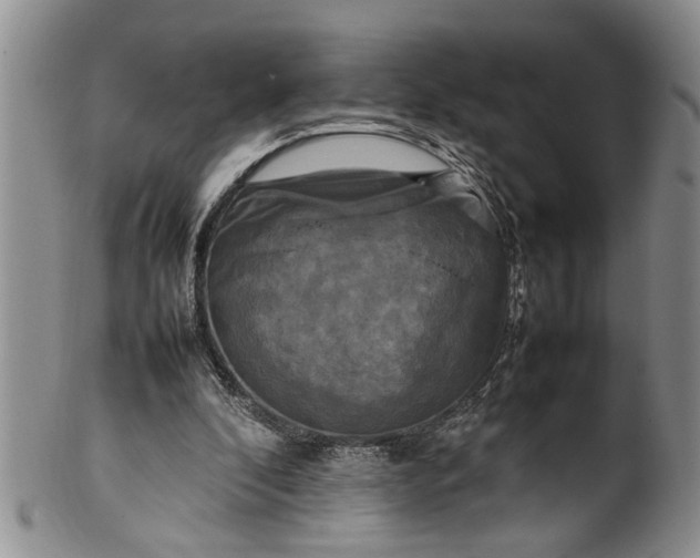 X0000102250296200808081417