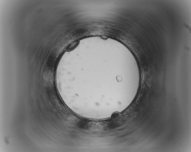 X0000102250297200808081417