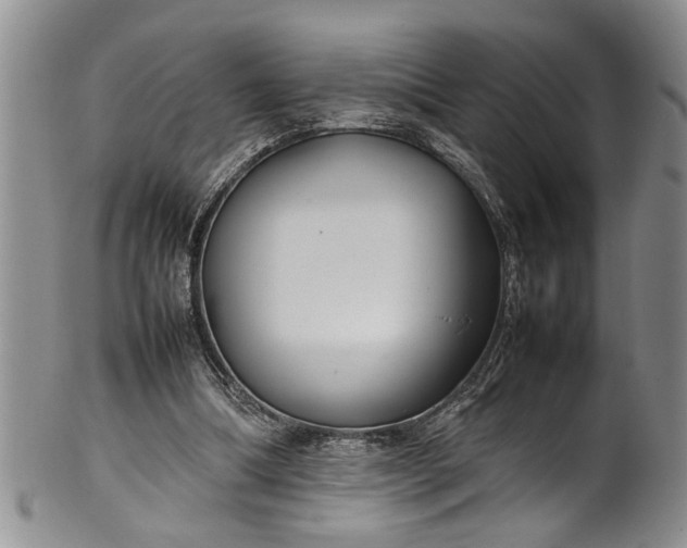 X0000102250298200808081417