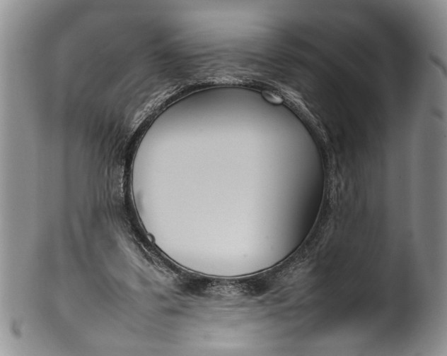 X0000102250299200808081417