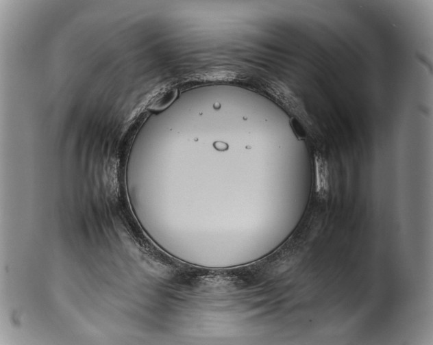 X0000102250300200808081417