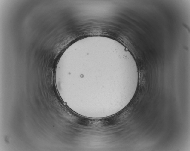 X0000102250301200808081417