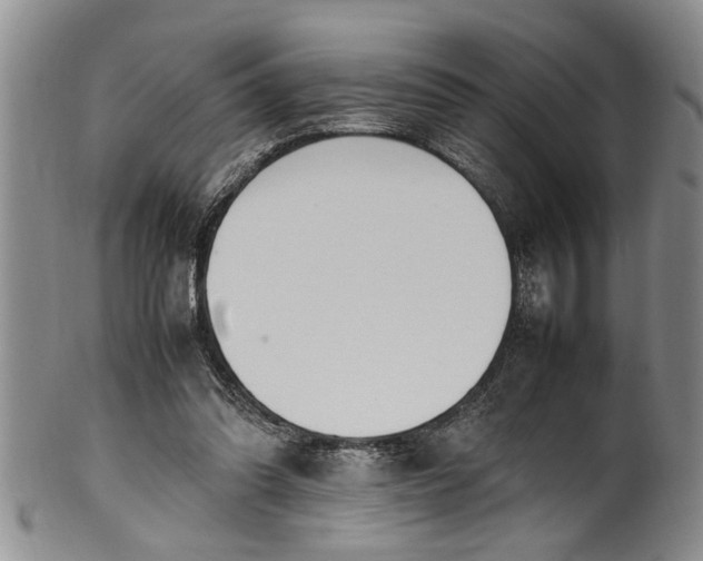 X0000102250302200808081417