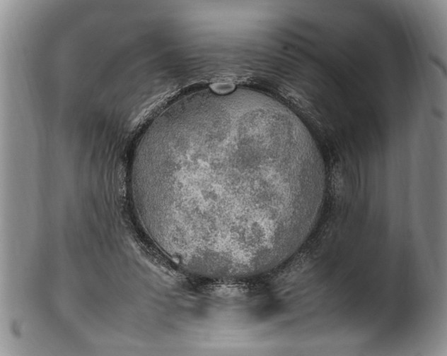 X0000102250303200808081417