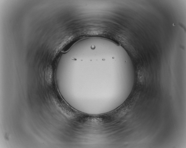 X0000102250304200808081417