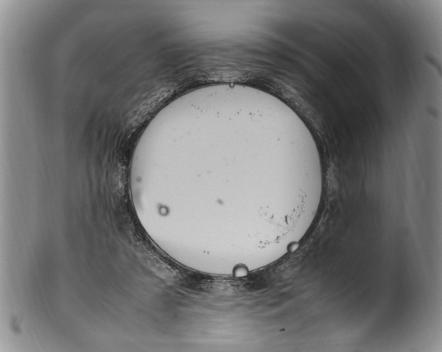 X0000102250305200808081417