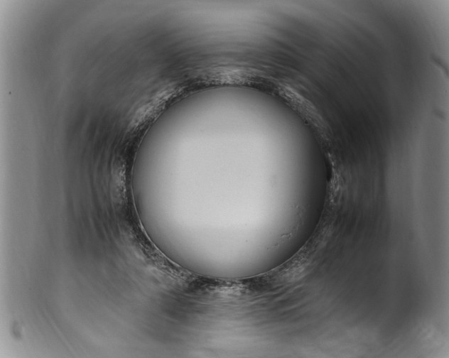 X0000102250306200808081416