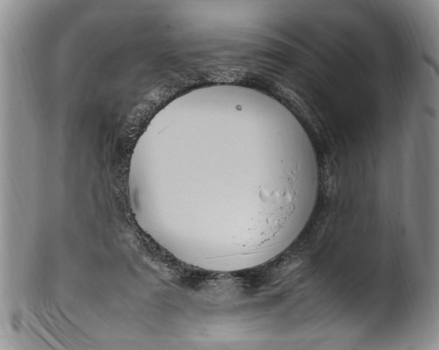 X0000102250307200808081416