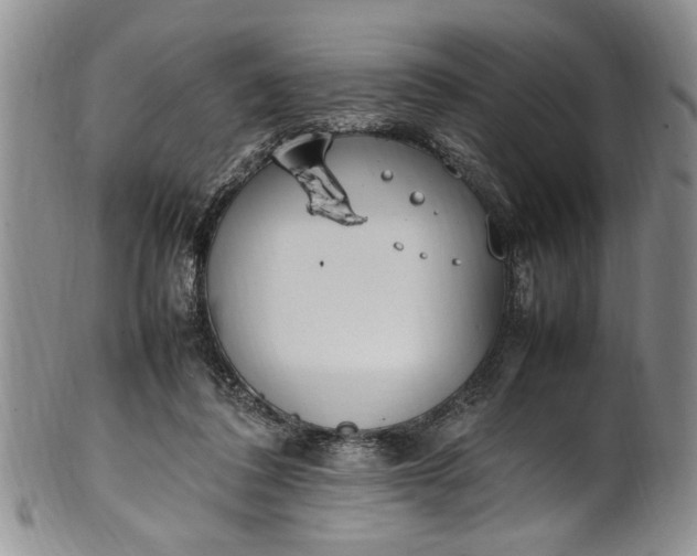 X0000102250308200808081416