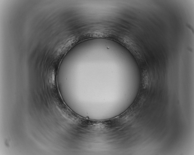 X0000102250310200808081416