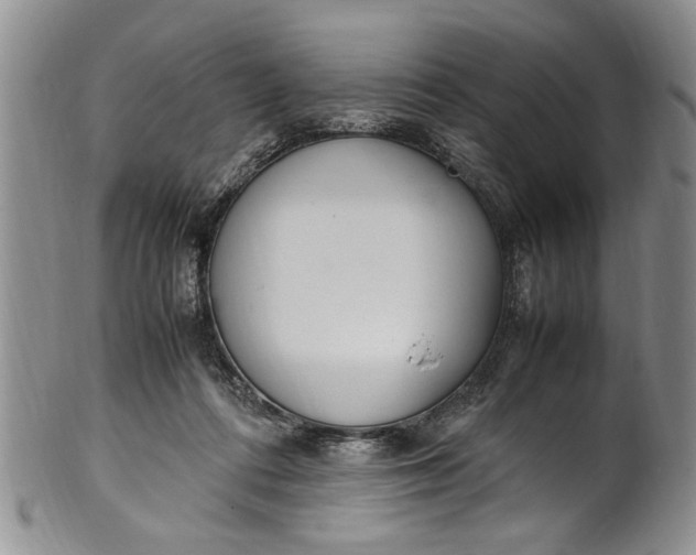 X0000102250312200808081416