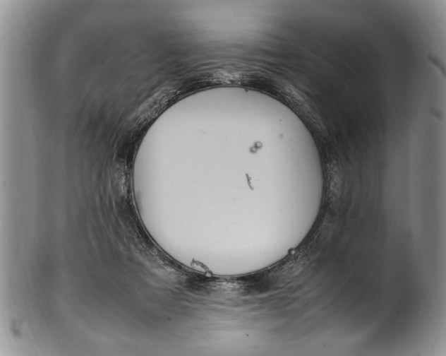 X0000102250313200808081416