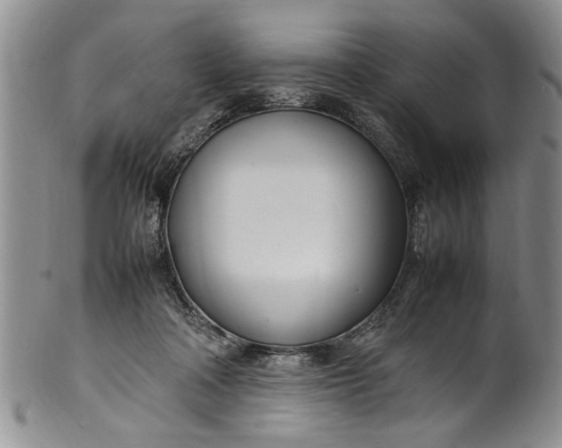 X0000102250314200808081416