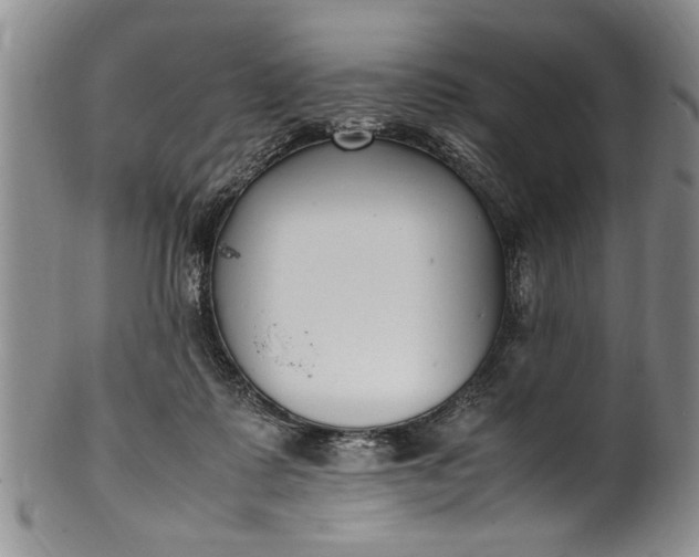 X0000102250315200808081416