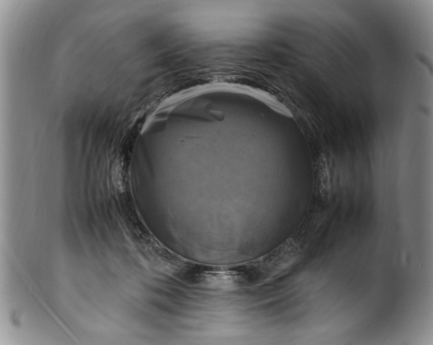 X0000102250316200808081416