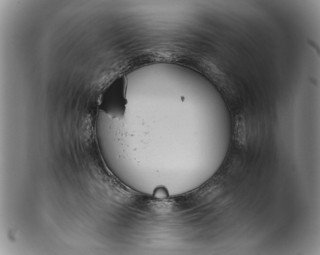 X0000102250318200808081416