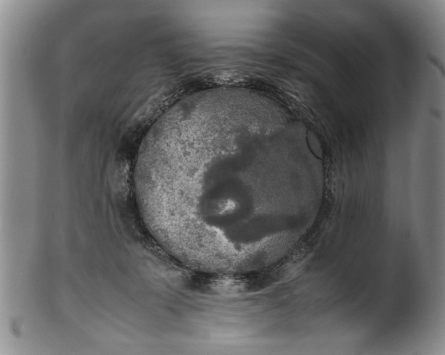 X0000102250319200808081416