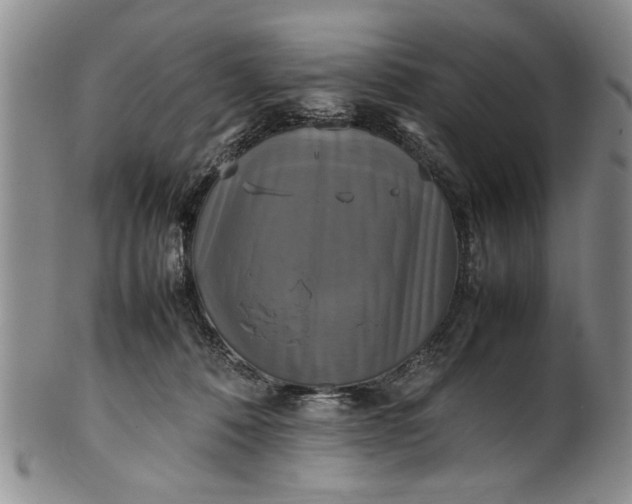 X0000102250320200808081416