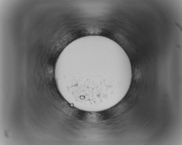 X0000102250321200808081416