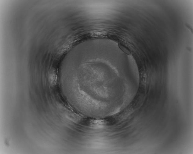 X0000102250324200808081416