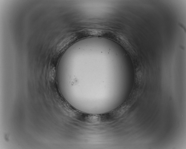 X0000102250325200808081416