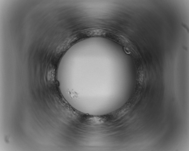 X0000102250326200808081416