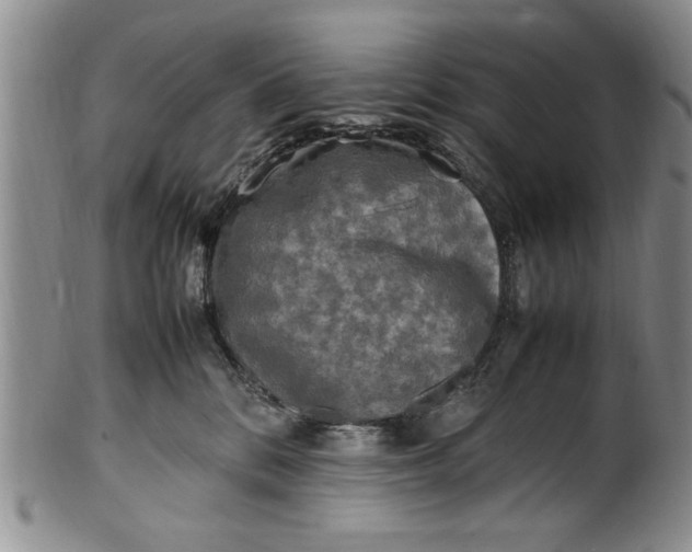 X0000102250328200808081416