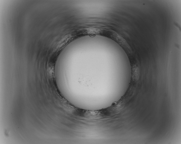 X0000102250329200808081416