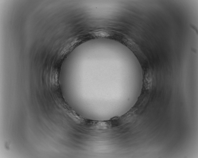 X0000102250330200808081416