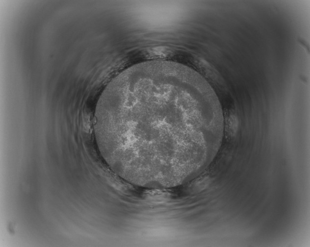 X0000102250331200808081416