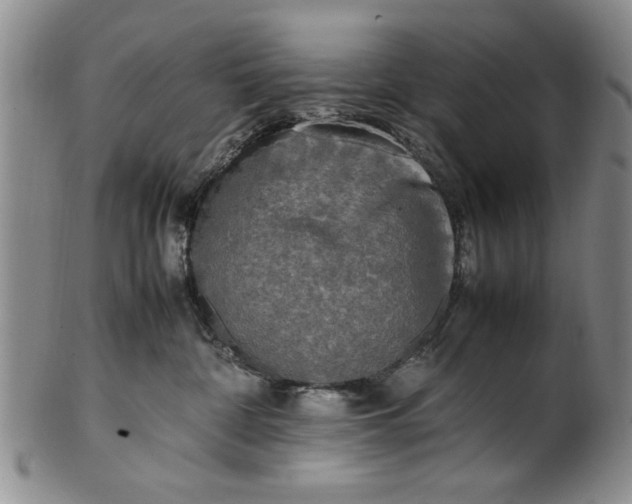 X0000102250332200808081416