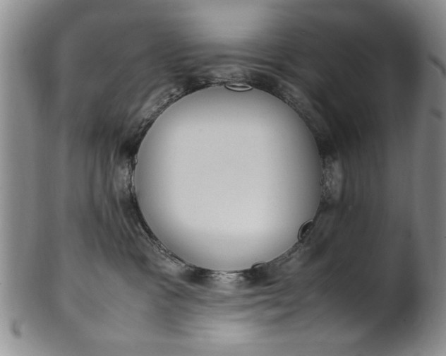 X0000102250333200808081416