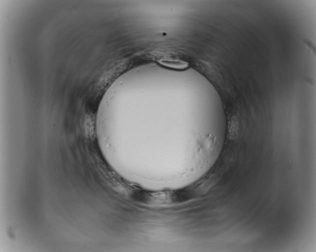 X0000102250335200808081416